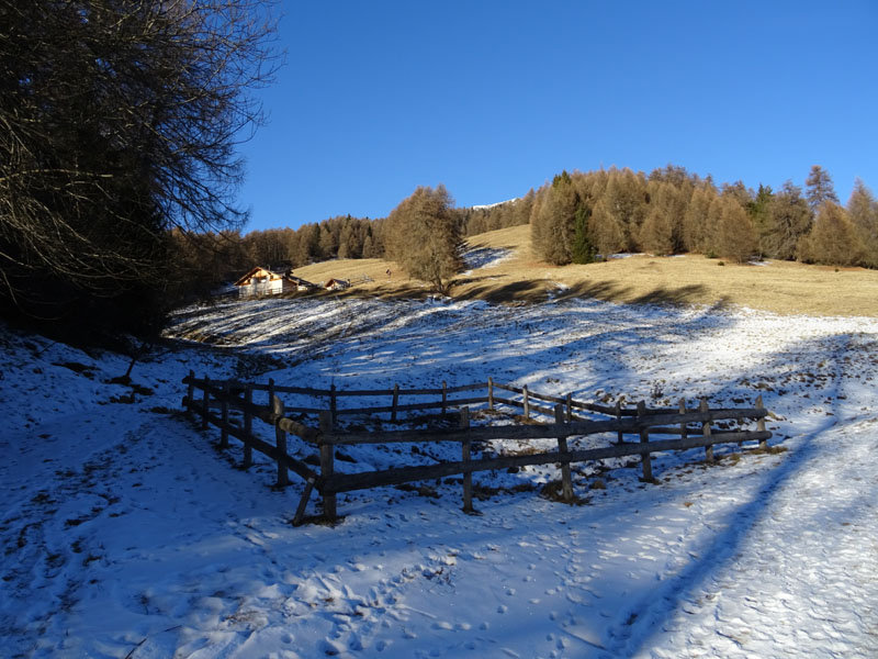 Cimon di Bolentina m. 2287 - Piz di Montes m. 2368